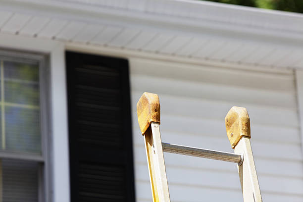 Best Hoarding Cleanup  in Hornell, NY