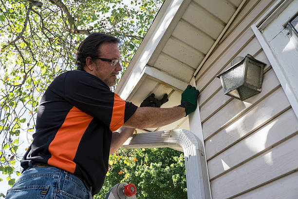 Best Same-Day Junk Removal Services  in Hornell, NY